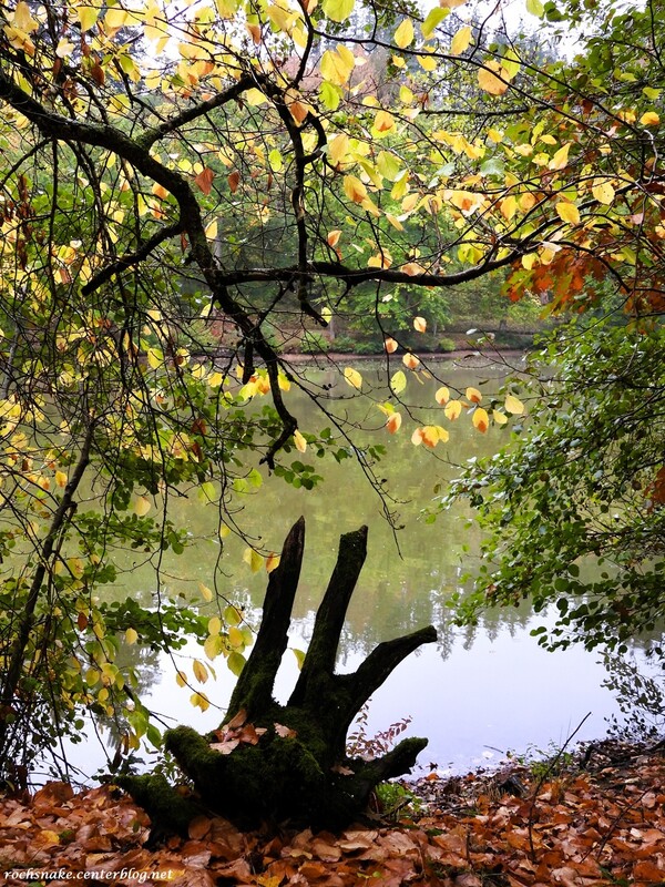 Un automne plutôt timide