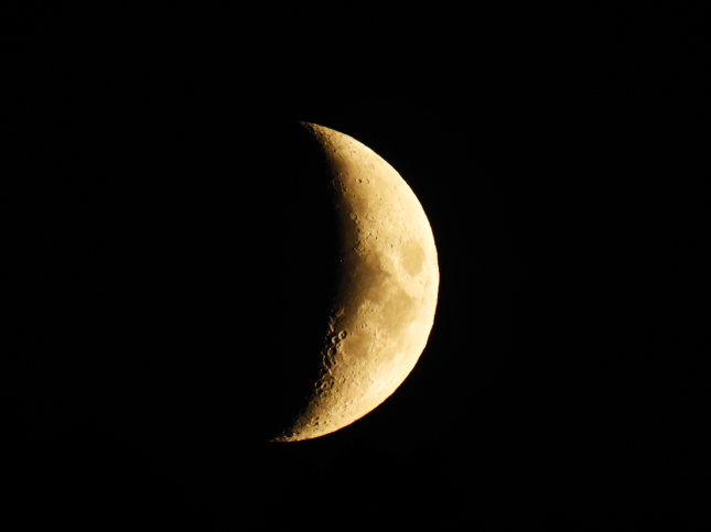 DSCN8309