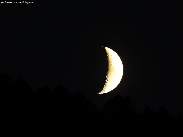 Splendeur nocture